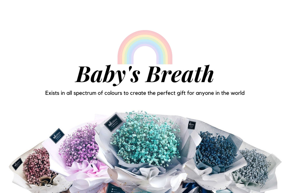 Gypsophila aka Baby’s Breath and the true meaning of each colour of love