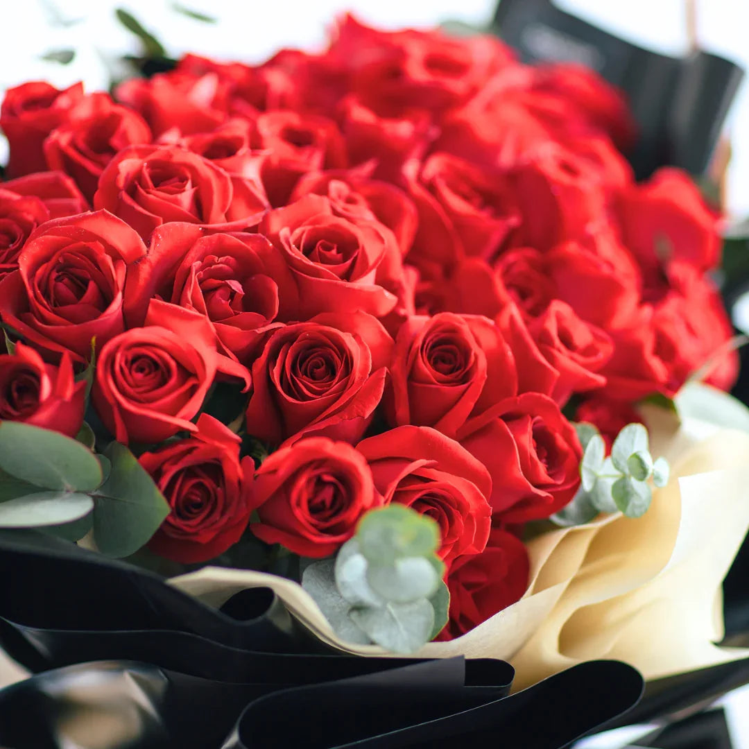 Hand bouquet of fresh red roses with green eucalyptus, wrapped in black and cream paper