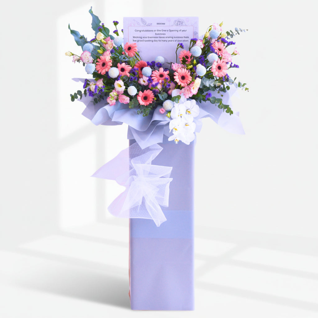 Dreamscapes | Business Opening Stand image 0