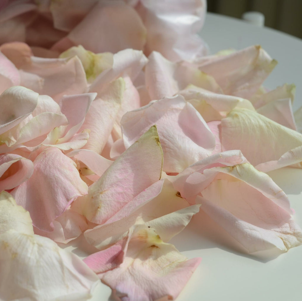 Loose Petals image 1
