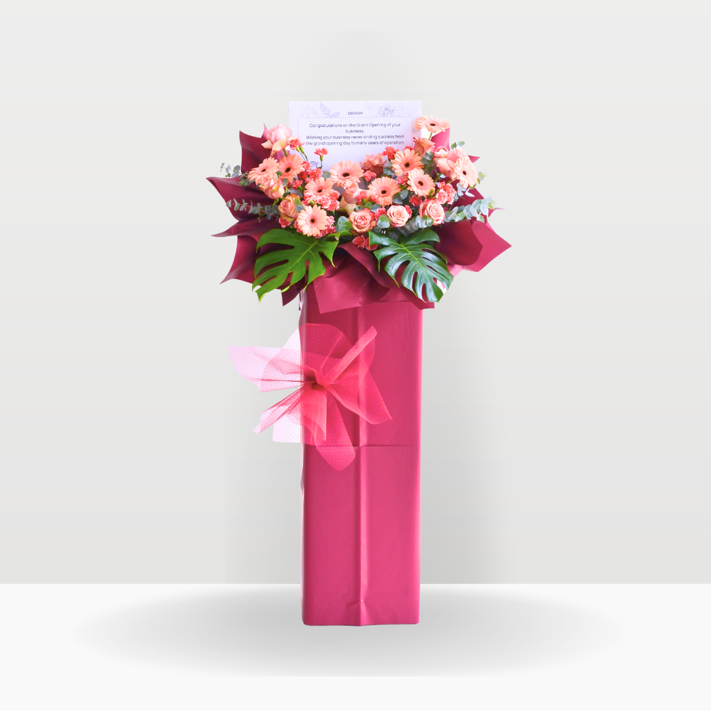 Scarlet Radiance | Business Opening Stand image 6