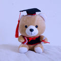 Graduation Bear 20cm image 0