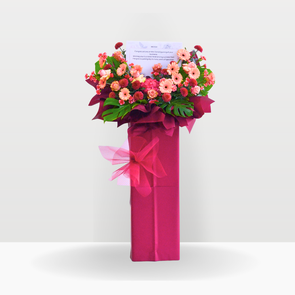 Scarlet Radiance | Business Opening Stand image 7